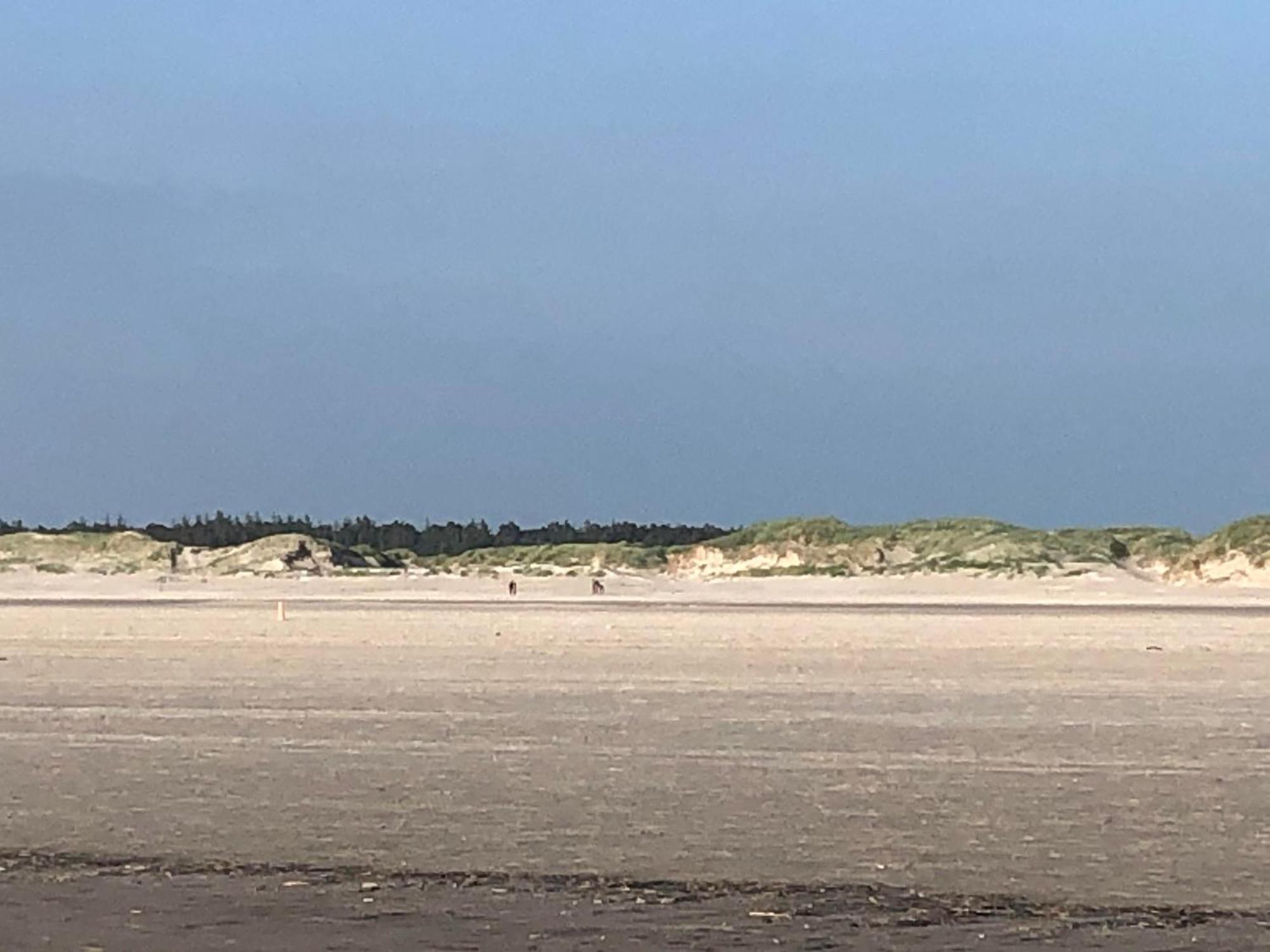Haubarg Alte Strandvogtei Вестерхевер Экстерьер фото